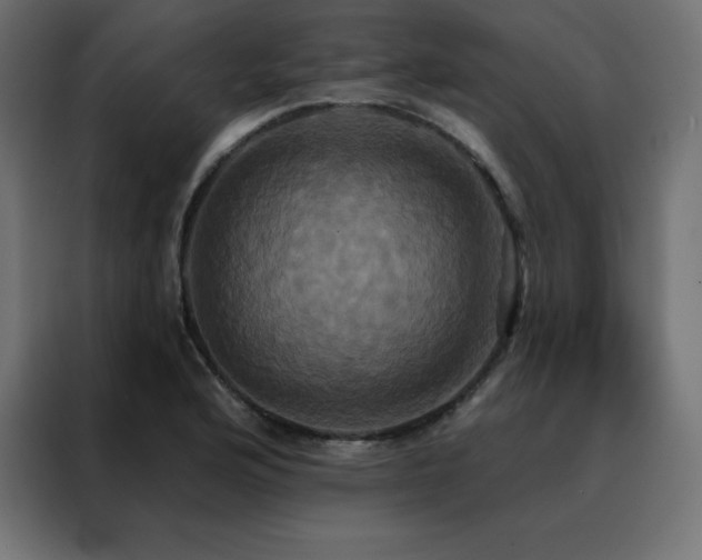 X0000088471176200705221357