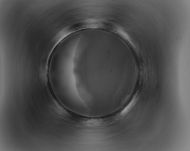 X0000088471178200705221357