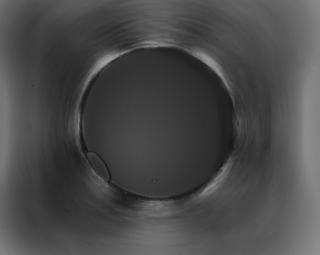X0000088471179200705221357