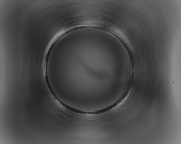 X0000088471180200705221357