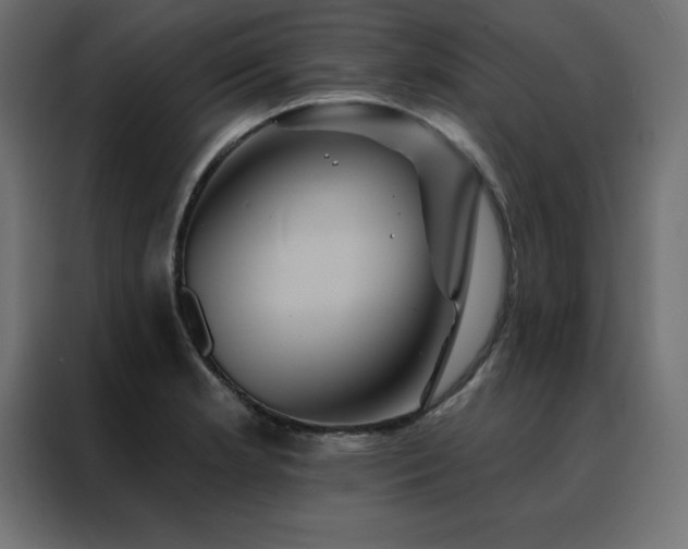 X0000088471181200705221357