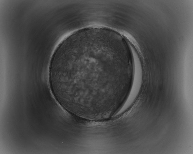 X0000088471183200705221357