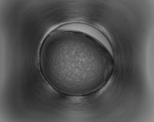 X0000088471184200705221357