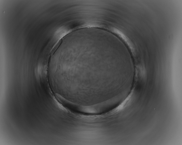 X0000088471185200705221357