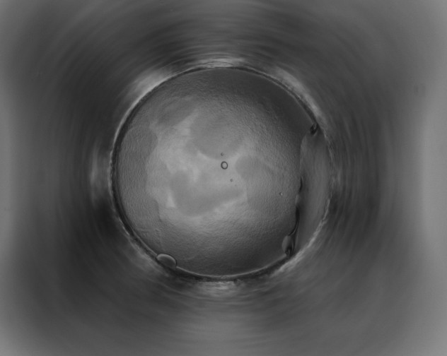 X0000088471186200705221357