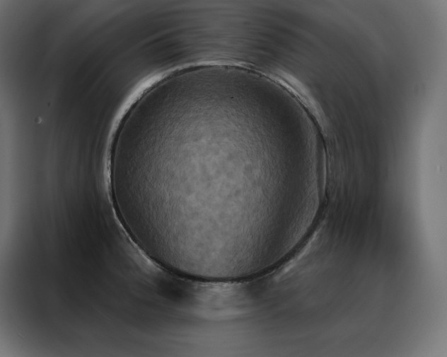 X0000088471188200705221357