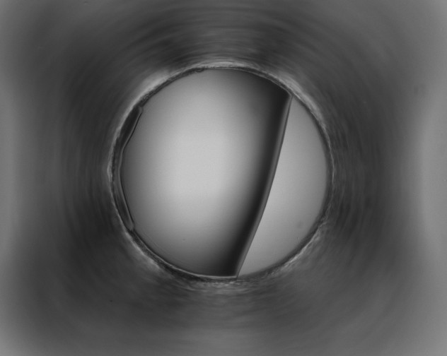 X0000088471189200705221357