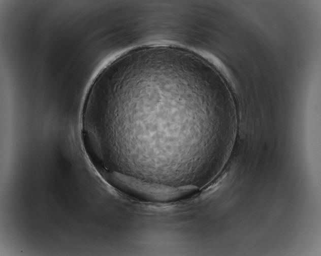 X0000088471191200705221357