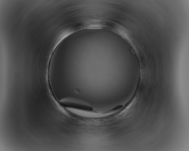 X0000088471194200705221357