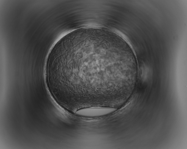 X0000088471195200705221357