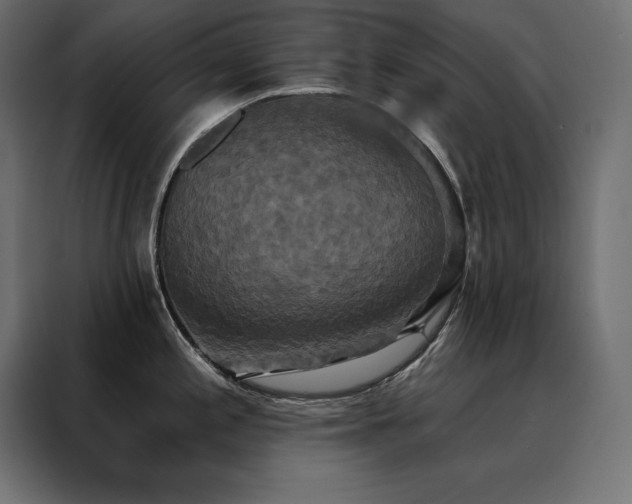 X0000088471197200705221356