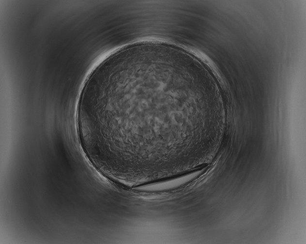 X0000088471199200705221356
