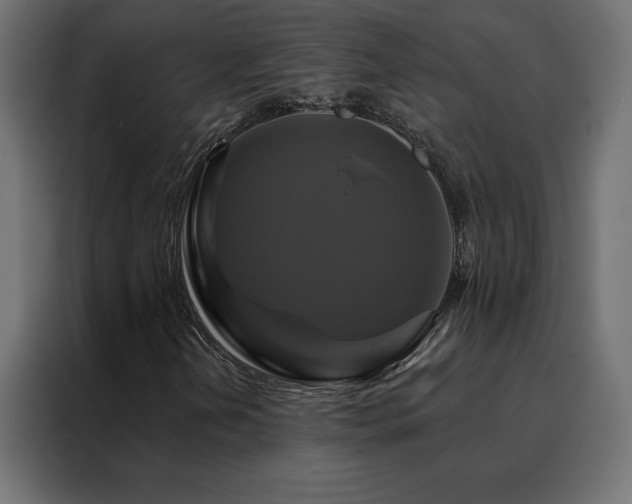 X0000088471202200705221356