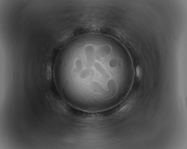 X0000088471203200705221356
