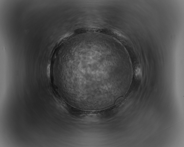 X0000088471204200705221356