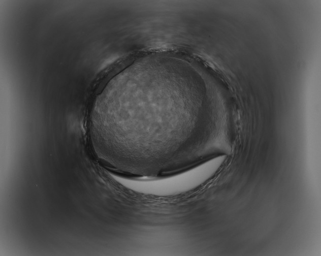 X0000088471206200705221356