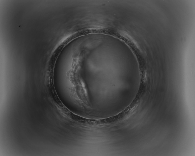 X0000088471208200705221356