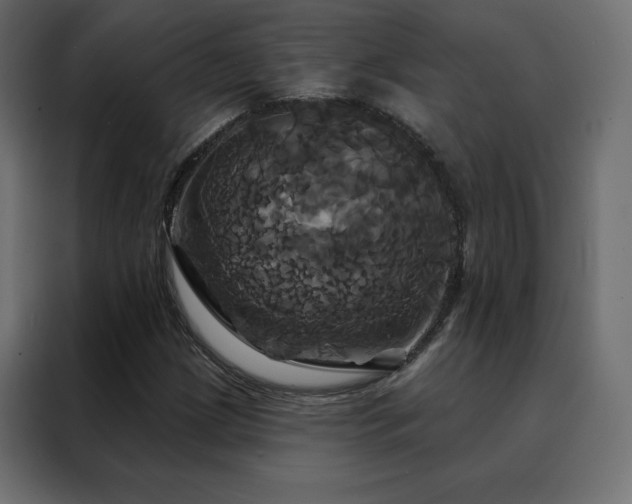 X0000088471209200705221356