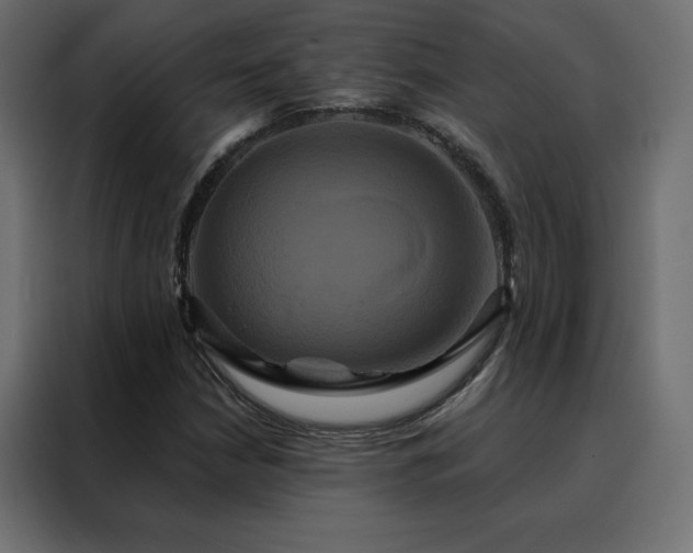 X0000088471210200705221356