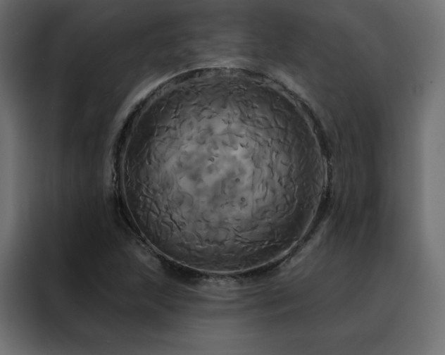 X0000088471215200705221356