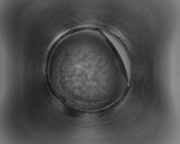 X0000088471216200705221356