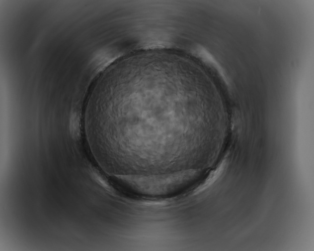 X0000088471217200705221356
