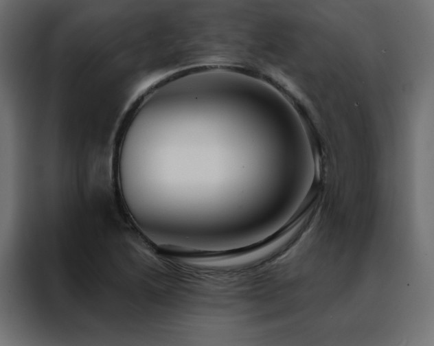 X0000088471222200705221356
