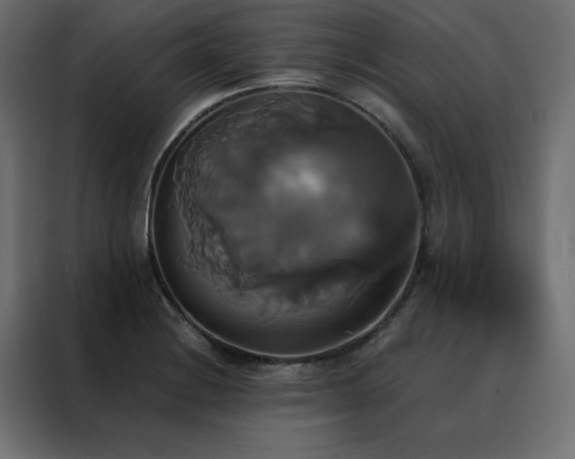 X0000088471228200705221356