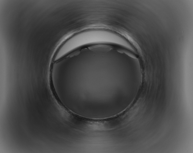 X0000088471229200705221356