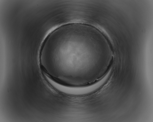 X0000088471230200705221356