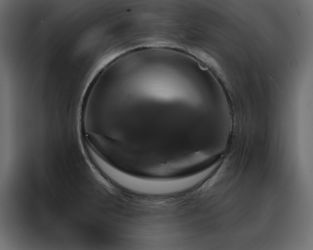 X0000088471231200705221356
