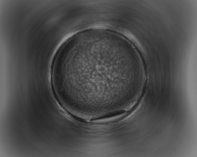 X0000088471232200705221356