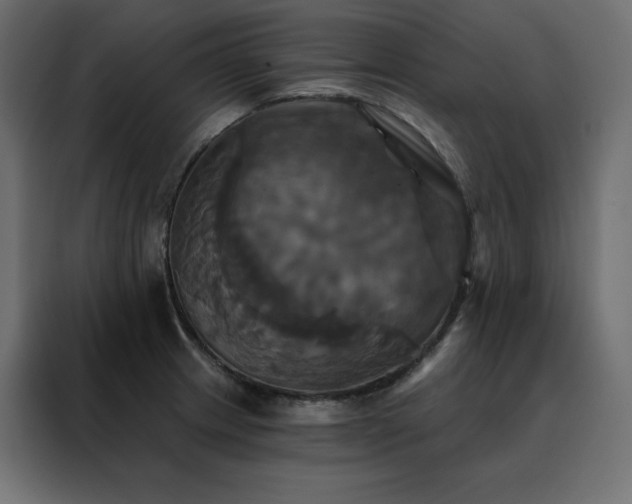 X0000088471233200705221356