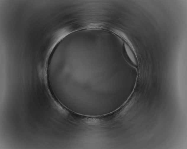 X0000088471235200705221356