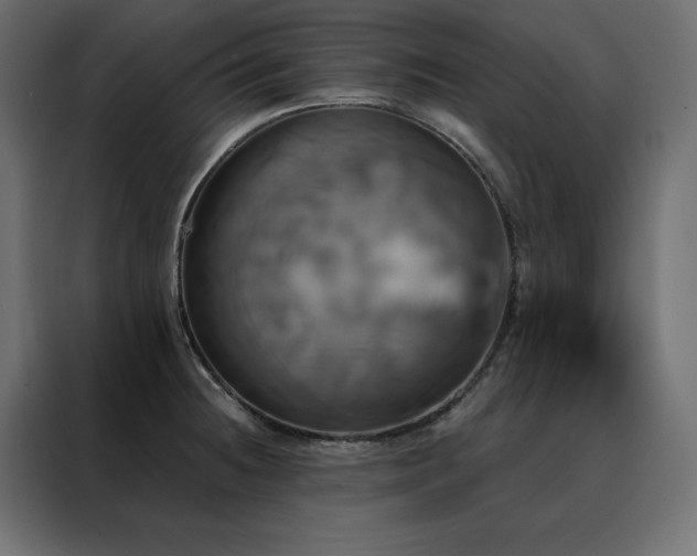 X0000088471236200705221356