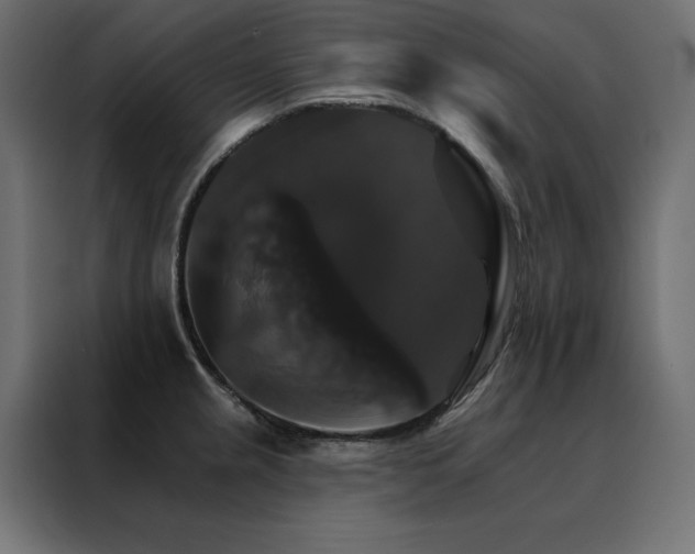 X0000088471237200705221356
