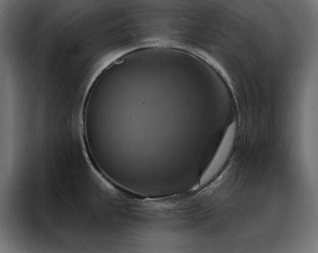 X0000088471239200705221356