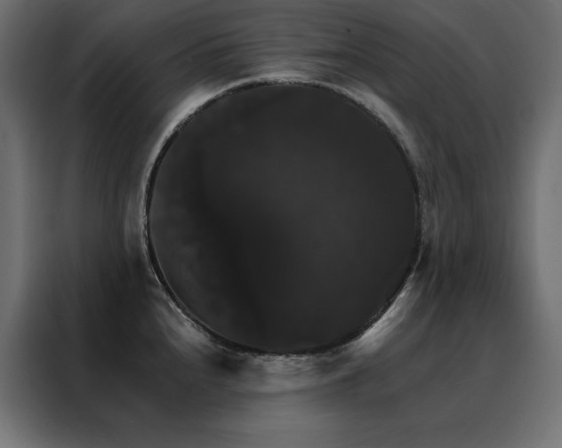 X0000088471240200705221356