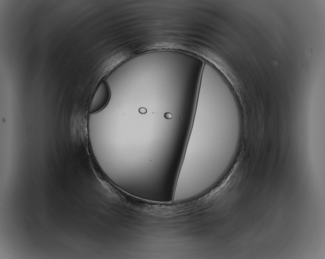 X0000088471241200705221356