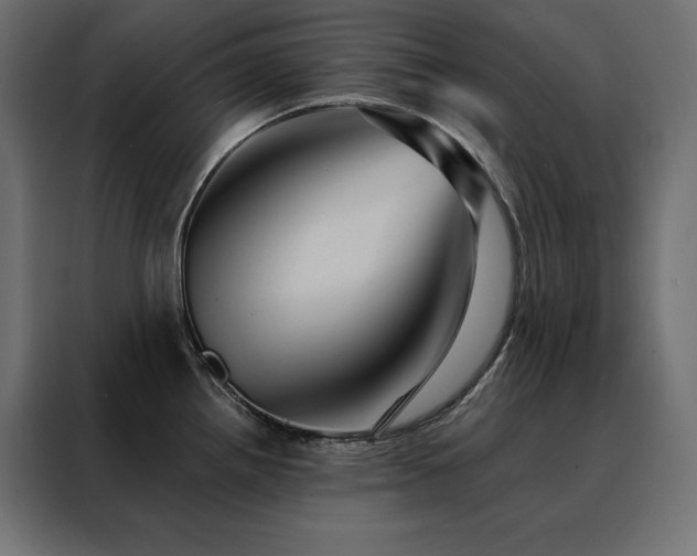 X0000088471242200705221356