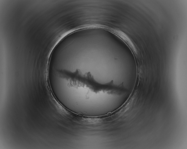 X0000088471244200705221356