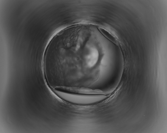 X0000088471247200705221356