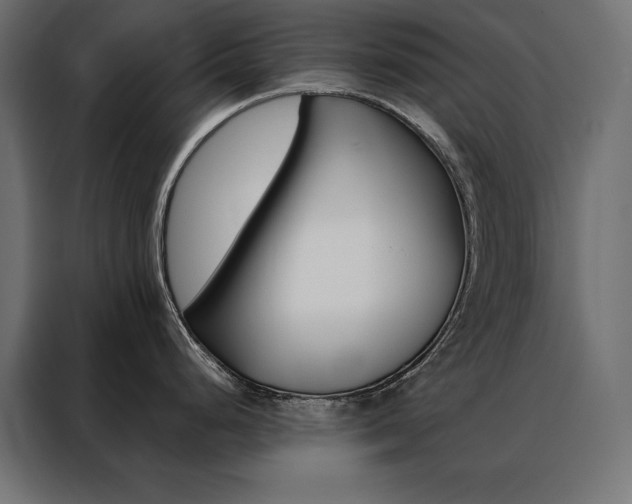 X0000088471248200705221356