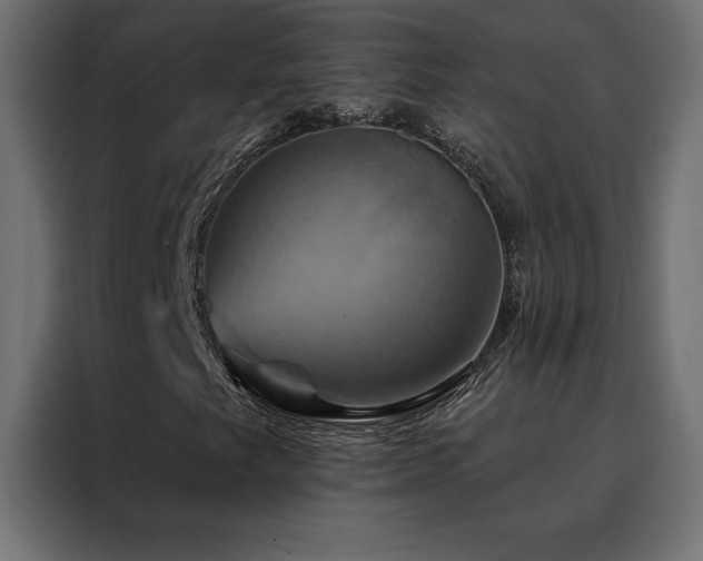 X0000088471249200705221356