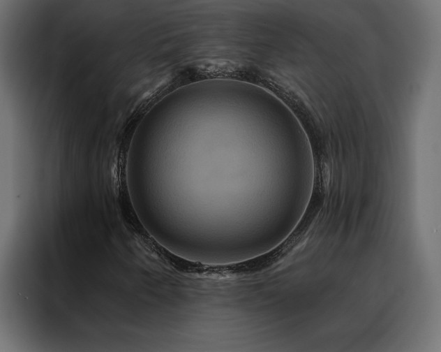 X0000088471250200705221356