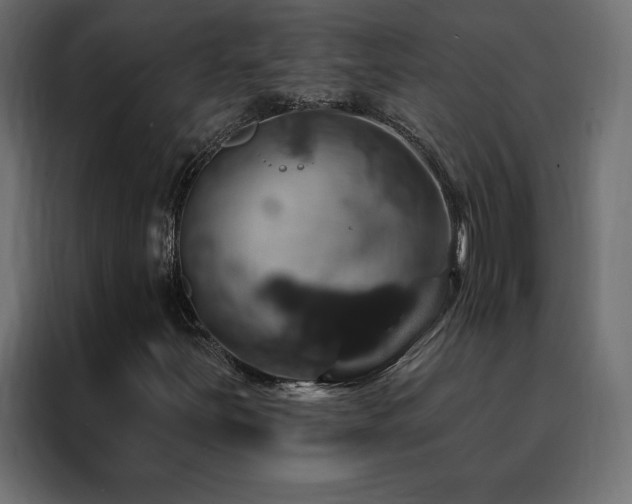 X0000088471251200705221356