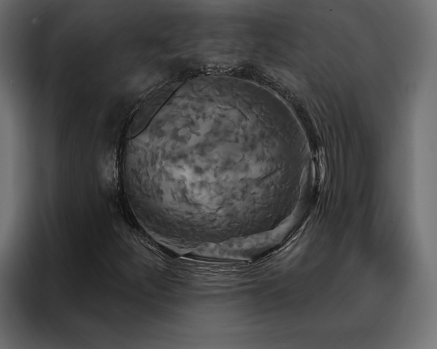 X0000088471252200705221356