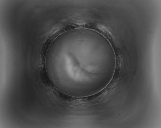 X0000088471253200705221356