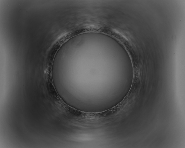 X0000088471254200705221356