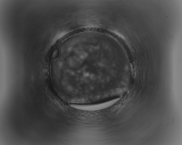 X0000088471255200705221356
